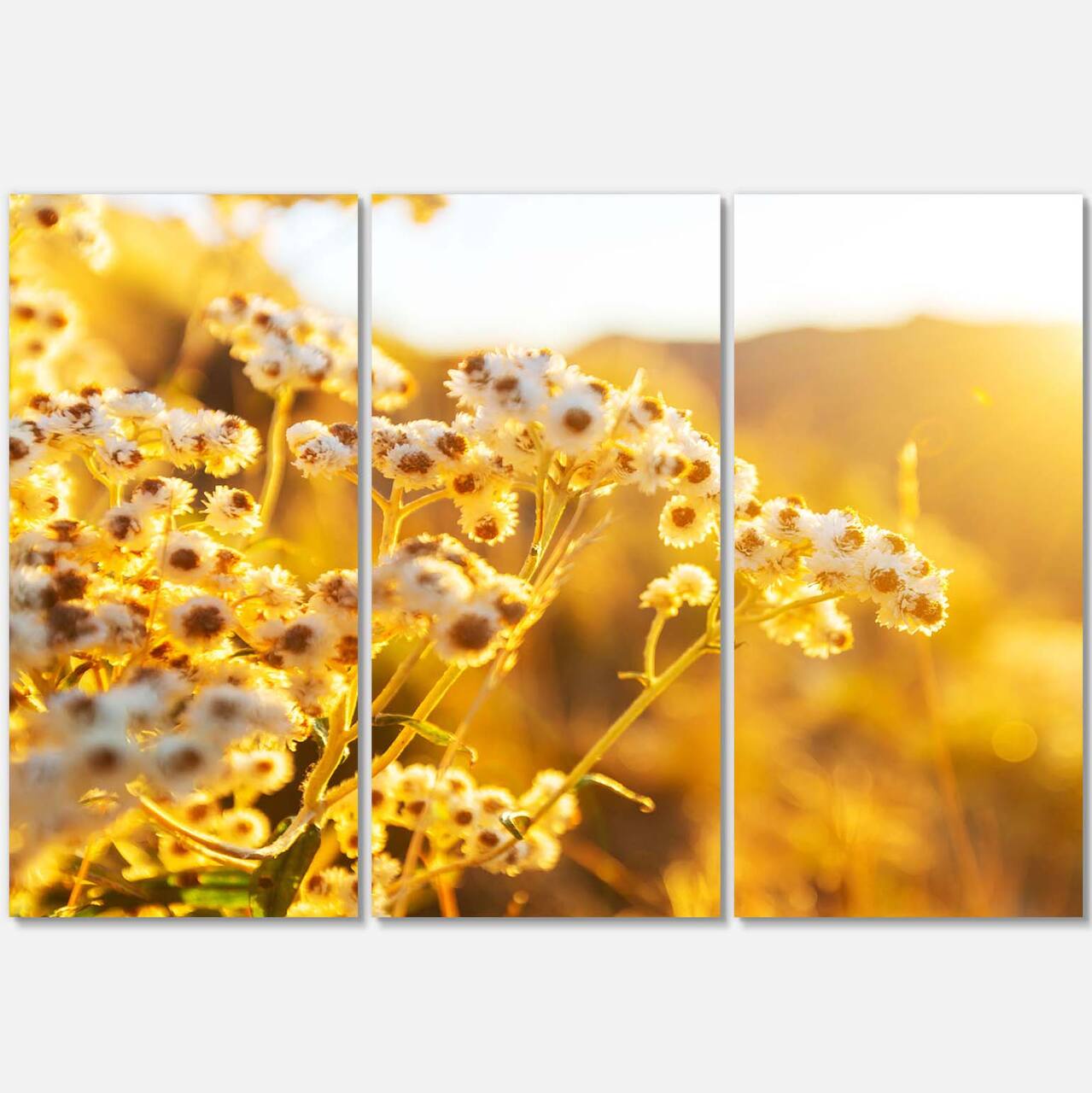 Designart - Bright Yellow Rural Garden Flowers - Floral Canvas Art Print